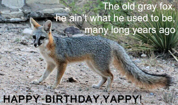 Happy Birthday, Yappy