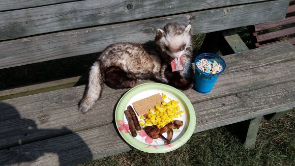 James   - 20150906_115637