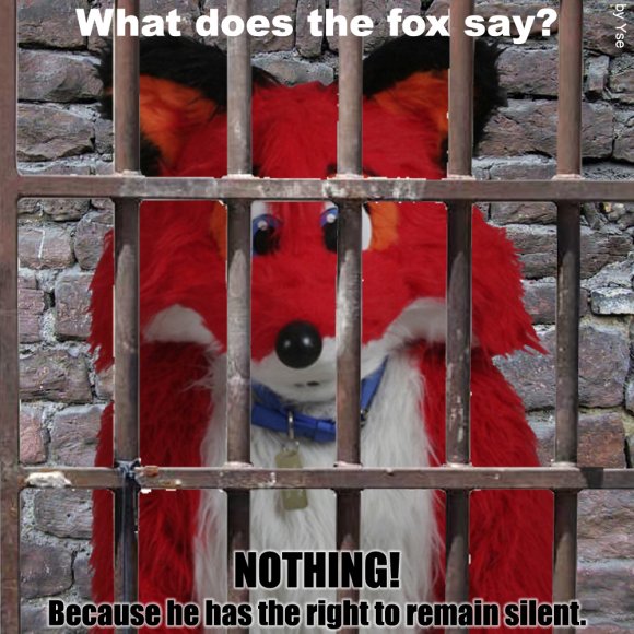 Tahisha Arvo - Right to remain silent