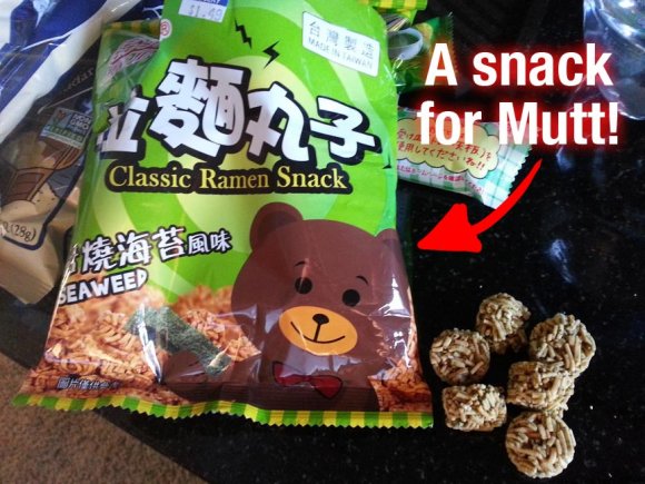 Conner Leo - Mutt-Ramen-snack