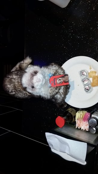 James Ferret - 20150919_184855