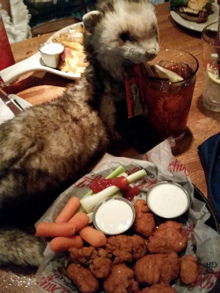 James Ferret - ketchup celery