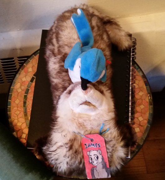 James Ferret - image