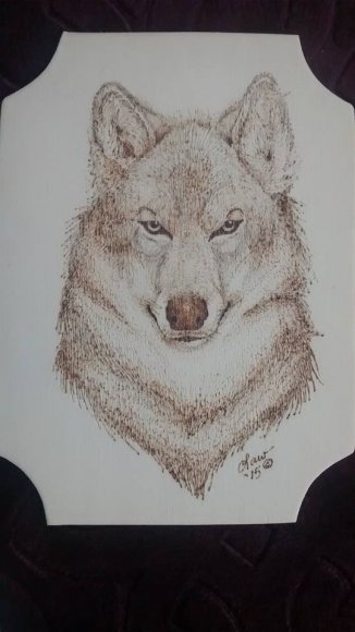 Lawrence Correia - 12065527_1028535707178381_2965320430922663847_n