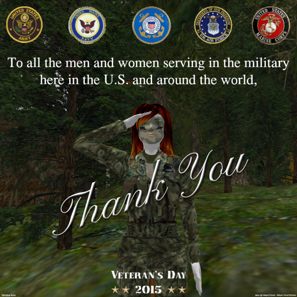 Tahisha Arvo - Veteran's Day - 2015