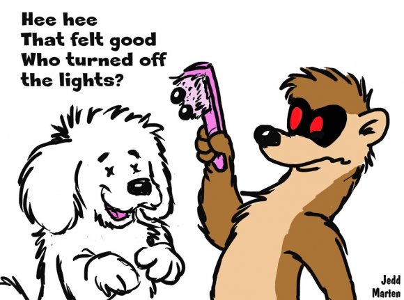 Jedd Marten - pawpet_brush_off