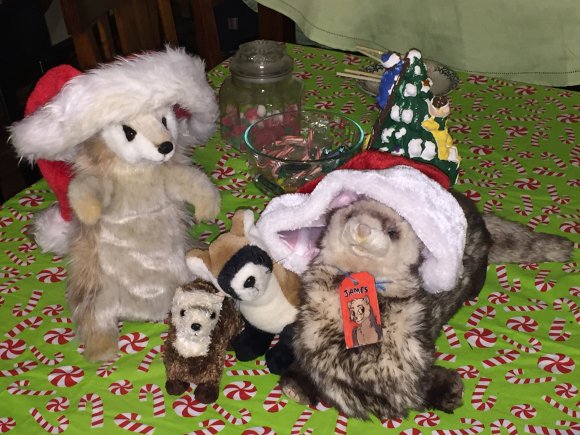 James Ferret - image