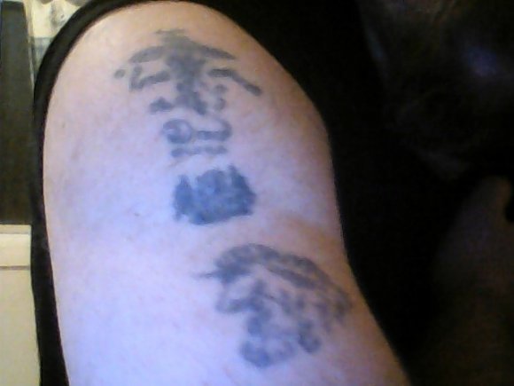 Alad Meerkat - LAPKAT - WIN_20160214_195600