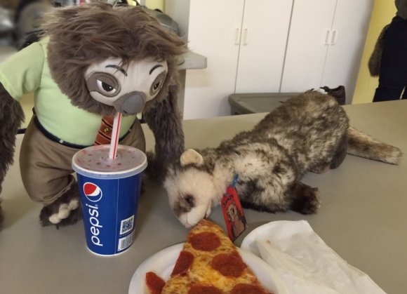 James Ferret - Ferret and Flash eating