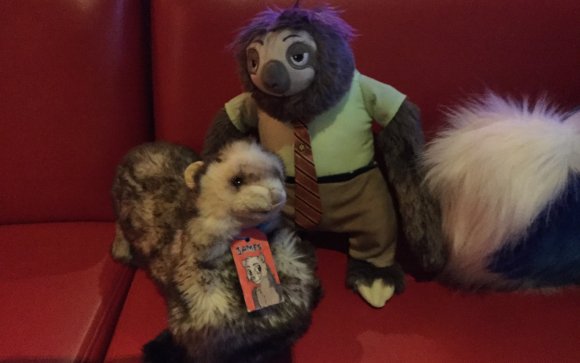 James Ferret - Ferret and Flash sitting