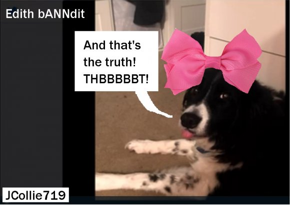 John Ravetti - JC719-EdithbANNdit