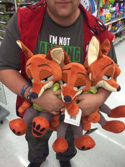 Stardust Raccoon - image