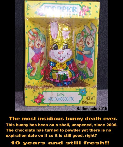 Kathmandu Gilman - Bunny Death 2016