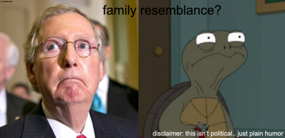 Tahisha Arvo - Turtleman - the most useless disguise