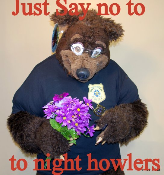 BJ Buttons - IMGP2168a