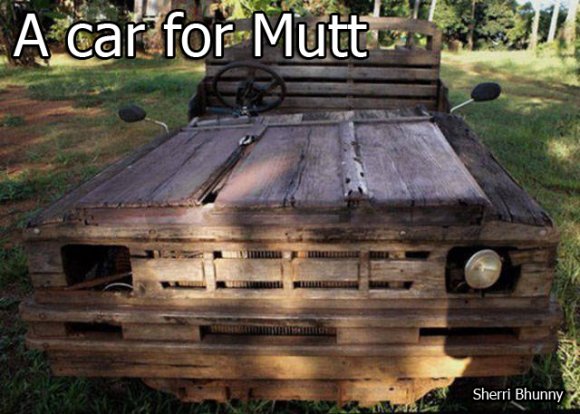 Sherri Bhunny - muttcar01