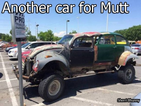 Sherri Bhunny - muttcar02