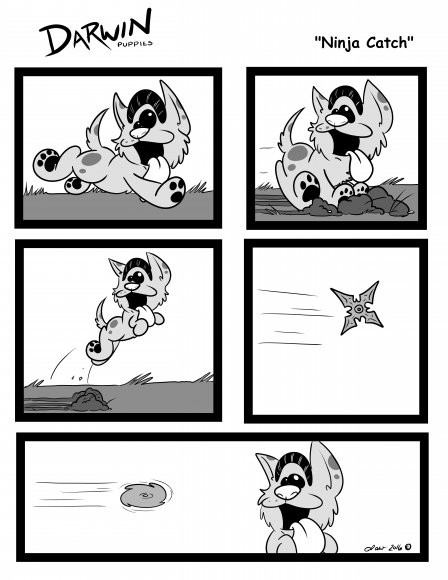 Lawrence Correia - NinjaCatch