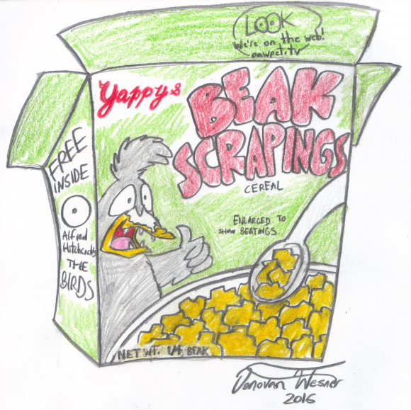 Donovan Wesner - beakscrapings