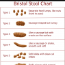 Fox Fox - Stool_chart
