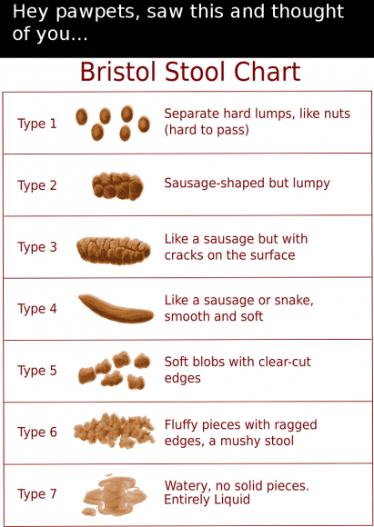 Fox Fox - Stool_chart