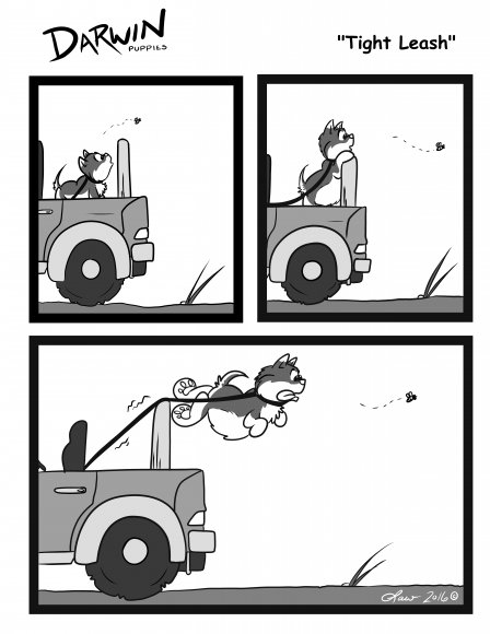 Lawrence  Correia - TightLeash