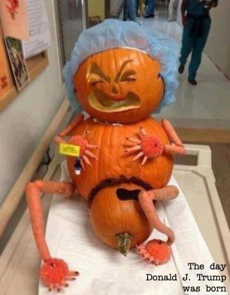 Yse Pick - Trump baby pic - final