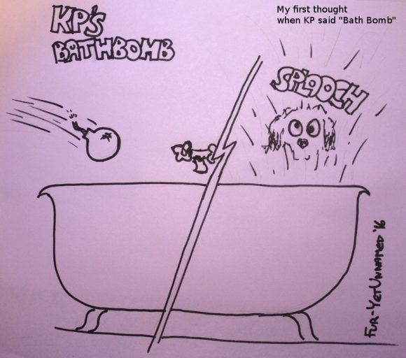 Jake S - KPs Bath bomb - Fur-YetUnnamed