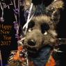 Jake S - HappyNewYear2017_Fur-YetUnnamed