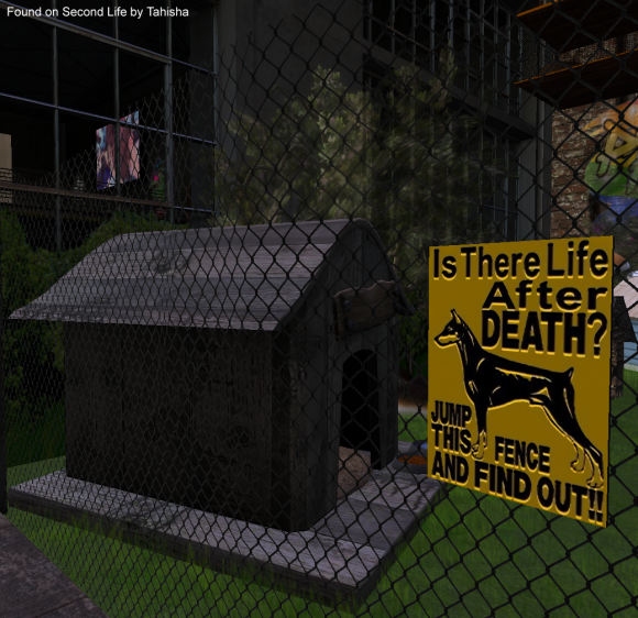 Tahisha Arvo - don't jump this fence