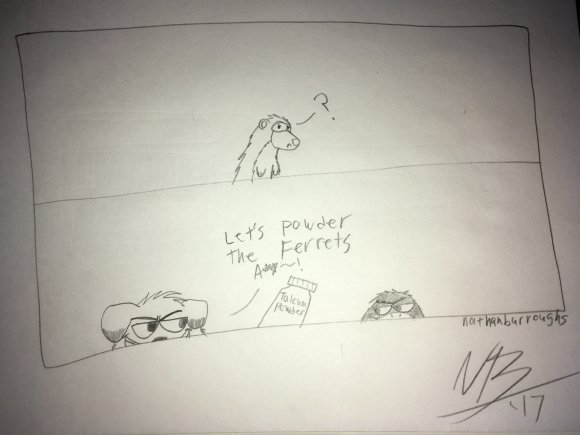 Nathan Burroughs - nathanburroughs 2-26-17