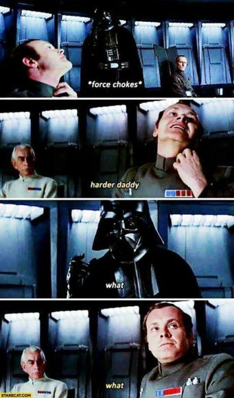 Grandiose Toad - IMG_3017