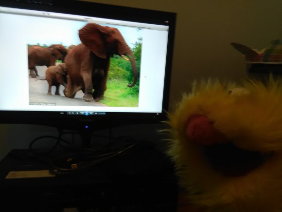 Donovan Wesner - IMG_20170427_092953