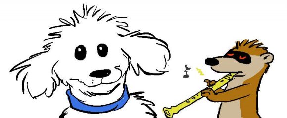 Jedd Marten - pawpet_random