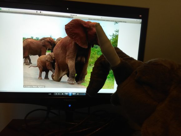 Donovan Wesner - IMG_20170427_093404