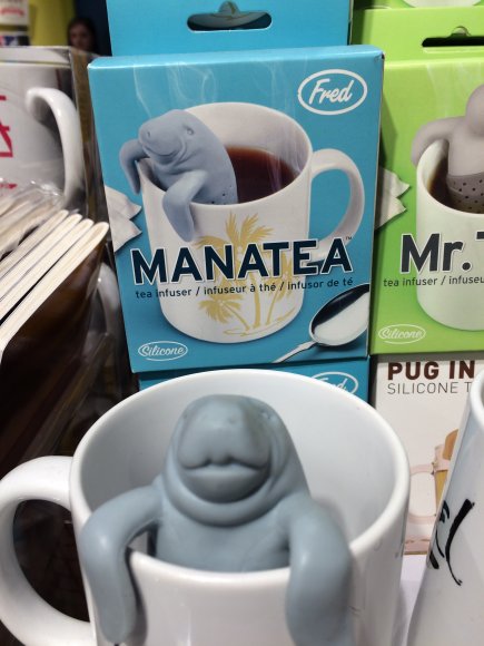 LomondFox  - Manatea