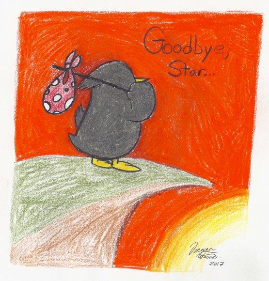 Donovan Wesner - star crow goodbye0000