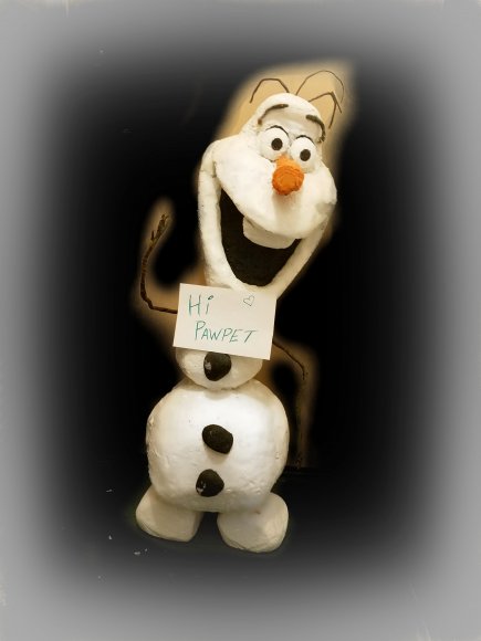 nats olaf - 201705211670885894