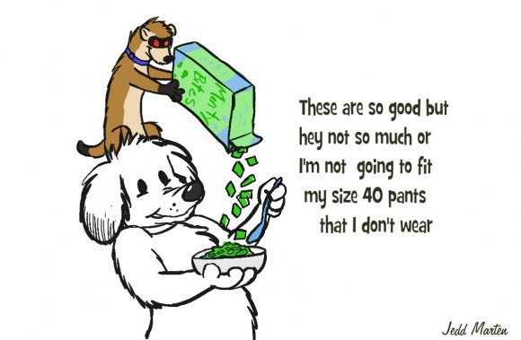 Jedd marten - pawpet_minty_bites