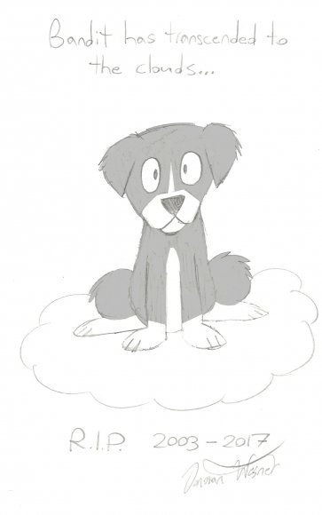 Donovan Wesner - bandit0000