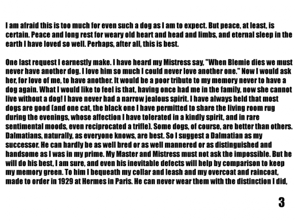 Sakana Katana - Last Will and Testament 3