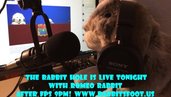 Jason Swinehart - RabbitHoleupnext