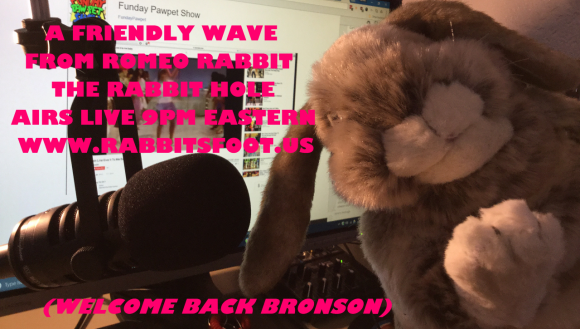 Jason Swinehart - RHPIC2