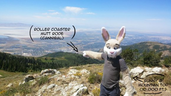 Yama Bunny - Mutt-RollerCoaster