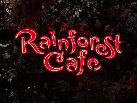 Showbiz Chuck - 692E65C5-88A9-48AB-A4FA-2B00012A2C32