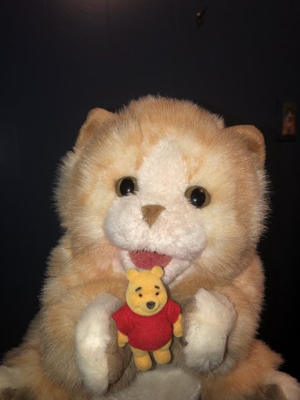 Showbiz Chuck - 0C8E52C0-B1A0-49C9-B01F-577252668406