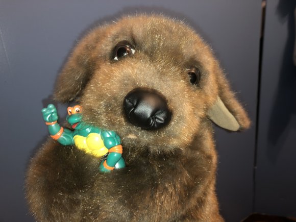 Showbiz Chuck - 84F5C4C4-BC24-4230-B823-426F5D8AA59D