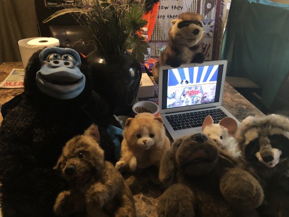 Showbiz Chuck - 79FE96C4-ECE2-489B-86A9-527417783AD6