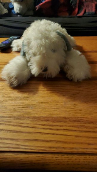 Wolfcat Wildcat - Mini_Mutt