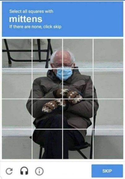 Mutt - 05B780FA-BA15-41F6-8C43-BAEE263357E3